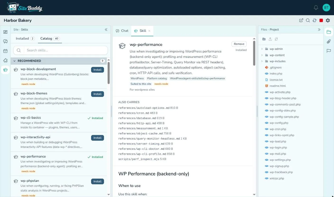 The Skills pane’s Catalog beside a skill open in the centre